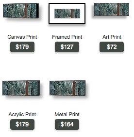 buy panoramic photo of black butte forest by Ross Wordhouse