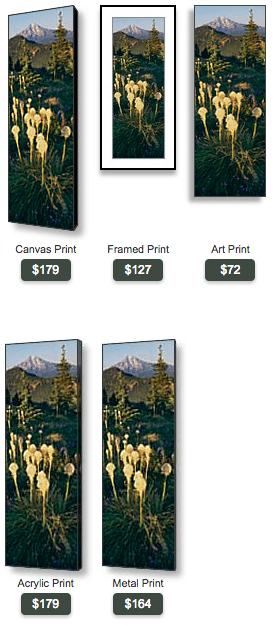 buy panoramic photo of Mt. Jefferson and beargrass by Ross Wordhouse