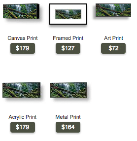 buy Oregon panoramic photo of lower proxy falls by Ross Wordhouse