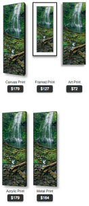 buy Oregon vetical panoramic photo of lower proxy falls by Ross Wordhouse