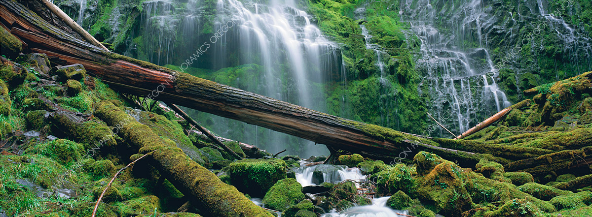 Oregon panoramic photo of lower proxy falls by Ross Wordhouse