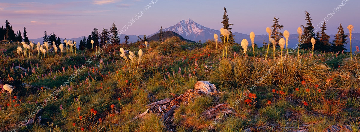 Oregon panoramic photo of Mt. Jefferson and beargrass during a sunset by Ross Wordhouse